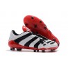 Botas De Futbol Adidas Predator Accelerator FG -