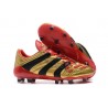 Botas De Futbol Adidas Predator Accelerator FG -