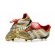 Botas De Futbol Adidas Predator Accelerator FG -