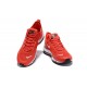 Zapatos Nike Air Max Plus 97 Sequent