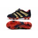 Botas De Futbol Adidas Predator Accelerator FG -