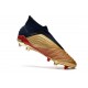 Tacón de Fútbol adidas Predator 19+ FG - Oro Plata Rojo