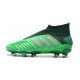 Tacón de Fútbol adidas Predator 19+ FG - Verde Argento
