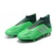 Tacón de Fútbol adidas Predator 19+ FG - Verde Argento