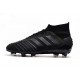 Botas de Fútbol adidas Predator 19.1 FG Hombre - Negro